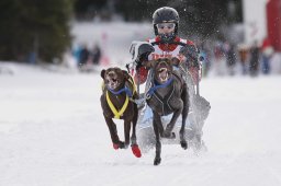 Lenzerheide 2013